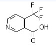4-三氟甲基烟酸